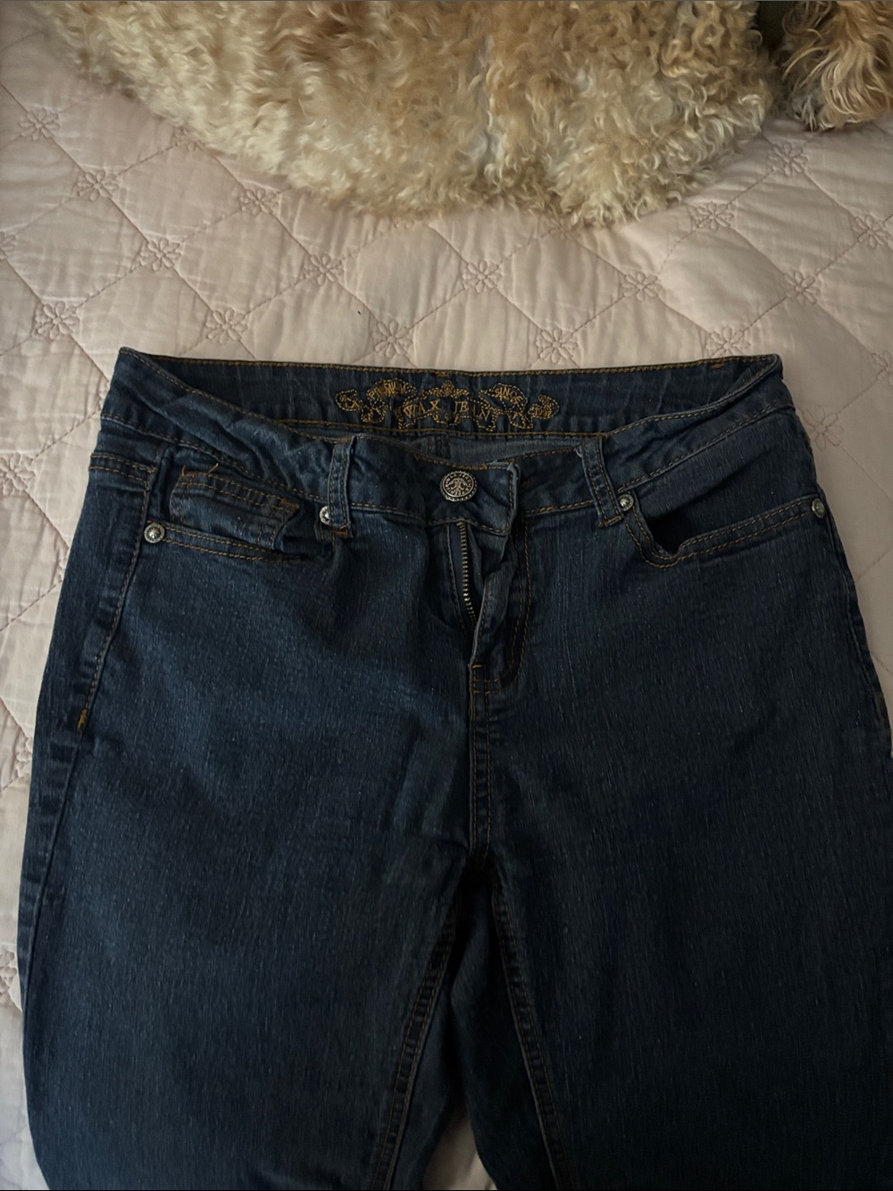 Wax Jean Dark Blue Boot Cut Women's Jeans